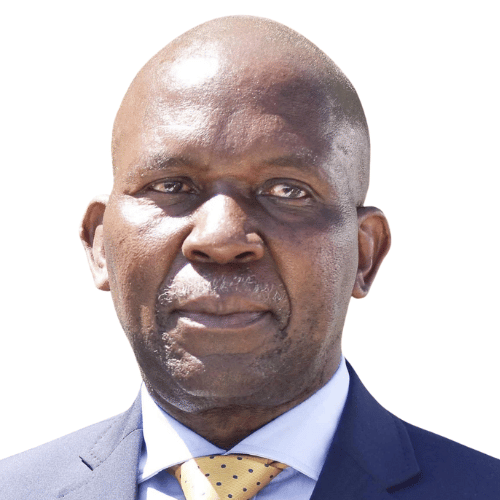 Tiyani Mongwe - Mugshot